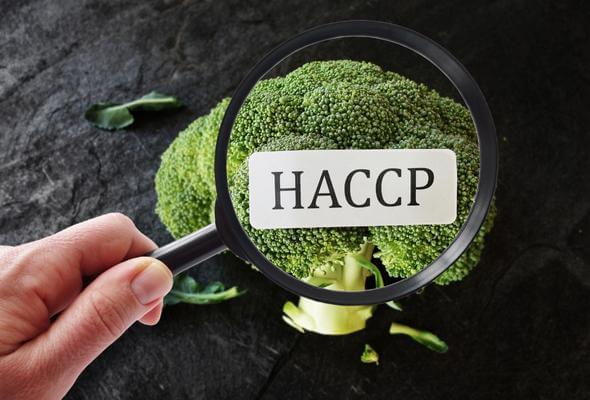 We Provide HACCP Trainning And Certification In Malaysia