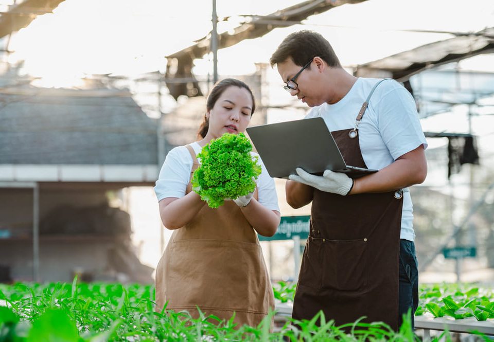 A team discussing the food safety through ISO 22000